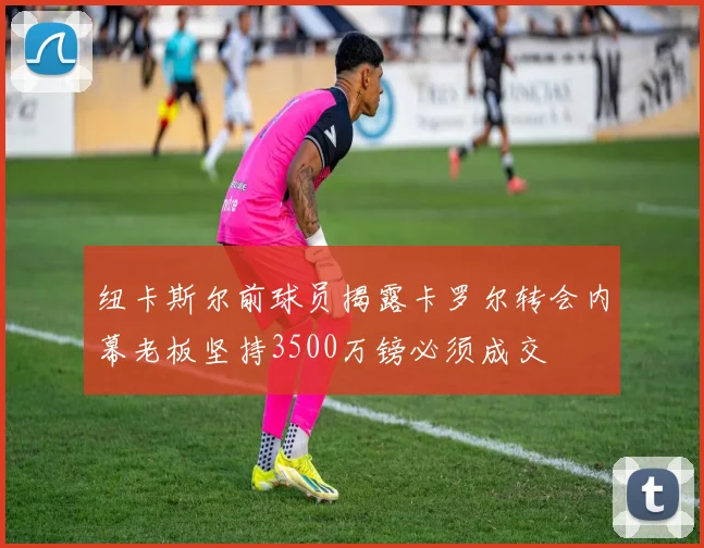 纽卡斯尔前球员揭露卡罗尔转会内幕老板坚持3500万镑必须成交